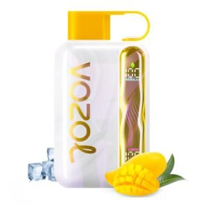 VOZOL STAR 40000 Puffs