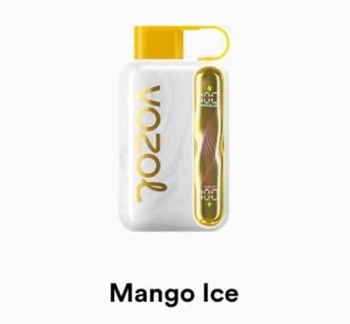VOZOL STAR 40000 Puffs mango ice
