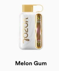 VOZOL STAR 40000 Puffs melon gum