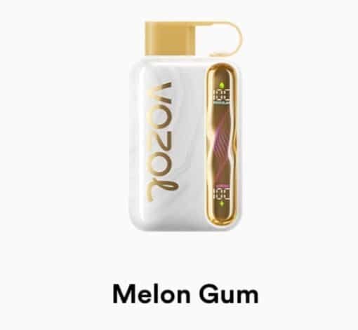 VOZOL STAR 40000 Puffs melon gum