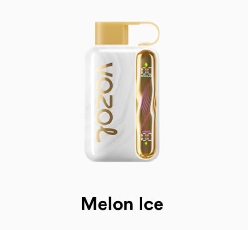 VOZOL STAR 40000 Puffs melon ice