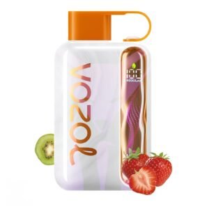VOZOL STAR 40000 Puffs