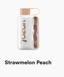 VOZOL STAR 40000 Puffs strawmelon peach