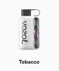 VOZOL STAR 40000 Puffs tobacco