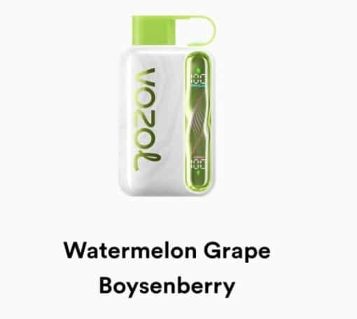 VOZOL STAR 40000 Puffs watermelon grape