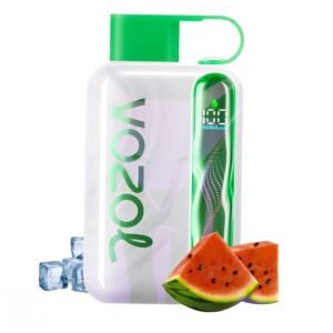 VOZOL STAR 40000 Puffs
