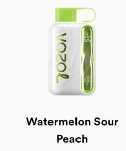 VOZOL STAR 40000 Puffs watermelon soue apple